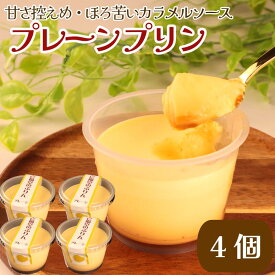 【ふるさと納税】 プリン スイーツ 卵 牛乳 なめらか とろける 4個 セット ぷりん プレーン おうちで カフェ 気分 ほろにが ソース 甘さ 控えめ とろとろ 濃厚 お菓子 洋菓子 おやつ デザート ギフト 冷蔵 人気 お取り寄せ 壱福堂 新潟県 新潟 新発田市 ippukudo001