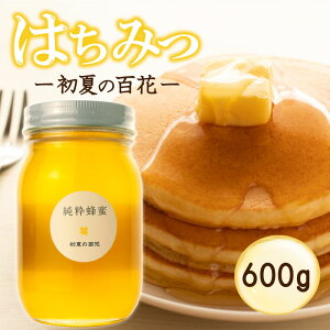 yӂ邳Ɣ[Łz ݂͂ Y Iׂ 180g 600g r Ă̕S jz~co` Y݂͂ YI SԖI I nj[ ݂͂ Y hЃObY ۑ ~ ۑH 픪{I V