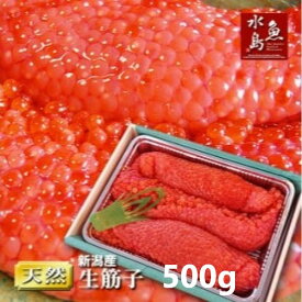 【ふるさと納税】 令和6年産 先行予約 生筋子 【 すじこ いくら 魚卵 500g 1kg 新潟県 新発田市 】