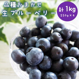 【ふるさと納税】 ブルーベリー 生 1kg 品種 おまかせ 生ブルーベリー ジャム 直送 新鮮 朝食 ヨーグルト 冷蔵 フルーツ 果物 くだもの とれたて kanda002