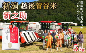 �y�ӂ邳�Ɣ[�Łz �� �ߘa7�N�Y �V�V�� 5kg ���� �V���� �V���c�Y �� 5kg �z�㐛�J �V�V�� ���ʌ��� D18_03