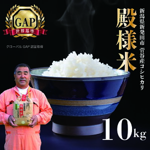 yӂ邳Ɣ[Łz VY z㐛Jal 10kg ߘa7NY y VY VcY  10kg z㐛J al RVqJ echigosugatani001 z