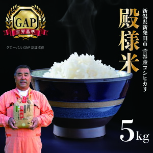 �y�ӂ邳�Ɣ[�Łz �R�V�q�J�� ���� ���� ���� �͔| ���ʍ͔|�� �V�����Y �z�㐛�J�a�l�� 5kg �ߘa7�N�Y �V�����Y �V���c�Y �� 5kg �z�㐛�J �a�l�� �R�V�q�J�� D05_04