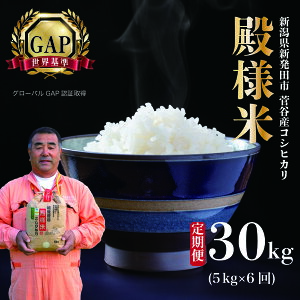 yӂ邳Ɣ[Łz  ߘa7NY VY z㐛Jal 5kg 6 30kg  V VY VcY  RVqJ ʍ͔| z㐛JĔ̔ 5kg 6  al ʌ D16_03