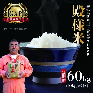 yӂ邳Ɣ[Łz  ߘa7NY RVqJ al 10kg×6 V VY VcY   RVqJ ʍ͔| z㐛JĔ̔ 10kg 6 60kg  al ʌ D17_02