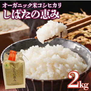 �y�ӂ邳�Ɣ[�Łz �� �R�V�q�J�� �V�����Y �I�[�K�j�b�N�ăR�V�q�J�� 2kg �ߘa7�N�Y �V�����Y �� �R�V�q�J�� �L�@�� �L�@�͔| �L�@ �I�[�K�j�b�N 2kg �V���c�Y ���ʌ��� D63_03