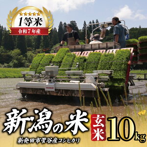 �y�ӂ邳�Ɣ[�Łz �܂��Ԃɍ����I�N���z�� �ߘa7�N�Y ���� ���ʍ͔|�� �R�V�q�J�� �I�ׂ� 5kg 10kg ���_�� ���͕� �V�����Y �V���� �V���c�Y �V�� �V���� �V���c�s �����O���[���t�@�[�� kuramits