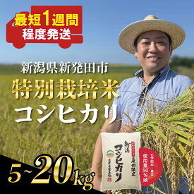 【ふるさと納税】 最短1週間発送!! 新潟県産 特別栽培米 コシヒカリ 5kg 10kg 20kg 選べる 配送月 容量 令和7年産 こしひかり 特栽米 米 新米 月岡 温泉 お米 こめ ご飯 ごはん おいしい 単品 新潟米 新潟 新潟県 新発田産 新潟産 朝食 昼食 夕飯 炊きたて 精米 watasho004P