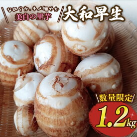 【ふるさと納税】 先行予約 里芋 「大和早生 」 新鮮 採りたて 1.2kg 栽培期間中農薬不使用 希少さといも サトイモ 芋 イモ いも 特産品 野菜 つぐちゃん畑 新潟 新潟県 新発田産 新発田市 tsuguchan007_01