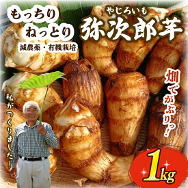 【ふるさと納税】 【先行予約】 里芋 土垂れ 弥次郎芋 もっちり 食感 餅 新鮮 採りたて 1kg 減農薬 有機栽培 希少 在来種 さといも やじろ いも 野菜 サトイモ 芋 イモ いも のっぺ 煮っころがし 特産品 つぐちゃん畑 新潟 新潟県 新発田産 新発田市 tsuguchan003_01