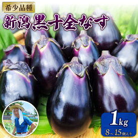 【ふるさと納税】 ＼先行予約／ナス 1kg 新鮮 朝採り 新潟黒十全なす 採りたて 令和8年産 十全 なす 黒十全茄子 茄子 新潟の生茄子 特産品 野菜 夏野菜 つぐちゃん畑 新潟 新潟県 新発田産 新発田市 tsuguchan002_01