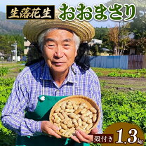 楽天市場】生落花生 おおまさりの通販