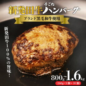 【ふるさと納税】 牛肉 ハンバーグ 10個 5個 800g 1600g 選べる 個数 和牛 新発田牛 国産牛 ブランド牛 にいがた和牛 ブランド 先崎産 5個 10個 牛ハンバーグ 手ごね 牛 肉 おすすめ おかず 贈答 ギフト プレゼント お歳暮 新潟県 新発田市 新潟 新発田 A5 H21 H22