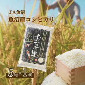 【ふるさと納税】令和7年産 魚沼産コシヒカリ 5kg JA魚沼 【0002-JA02-01】