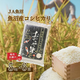 【ふるさと納税】【6か月定期便(毎月発送)】 令和7年産新米 魚沼産コシヒカリ 精米5kg(5kg×1袋)×全6回 ※2025年10月上旬から発送予定 JA魚沼 【0002-JA05DB00-01】