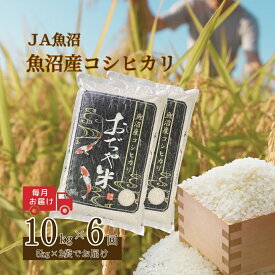 【ふるさと納税】【6か月定期便(毎月発送)】 令和7年産新米 魚沼産コシヒカリ 精米10kg(5kg×2袋)×全6回 ※2025年10月上旬から発送予定 JA魚沼 【0002-JA08DB00-01】