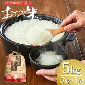 yӂ邳Ɣ[Łzߘa7NY YRVqJ 5kg Ntg   Ђ    VY JA y0002-JA03-02z