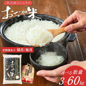 【ふるさと納税】令和7年産 魚沼産コシヒカリ「おぢや米」 選べる内容量・回数 3kg / 5kg / 6kg / 10kg / 15kg / 30kg /40kg /50kg / 60kg JA魚沼 新潟県 特Aの魚沼地域 | 新潟県産コシヒカリ 米 こしひかり 魚沼産 白米 精米 ブランド米 特A評価【0002-JA00SV00-02】