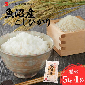 yӂ邳Ɣ[Łzߘa7NY YRVqJ Iׂe 4kg/5kg/6kg/9kg Jč | VY RVqJ     R Ђ   Y uh lC  Y
