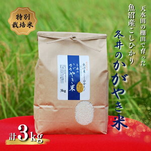 yӂ邳Ɣ[Łzyʌz ߘa7NY ʍ͔| YRVqJu~̂₫āv 3kg(3kg×1) Â S AXJ~ y0002-0001-02z