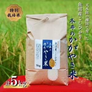 yӂ邳Ɣ[Łzyʌzyߘa7NYz ʍ͔| YRVqJu~̂₫āv 5kg(5kg×1) AXJ~ | VY RVqJ     R Ђ  