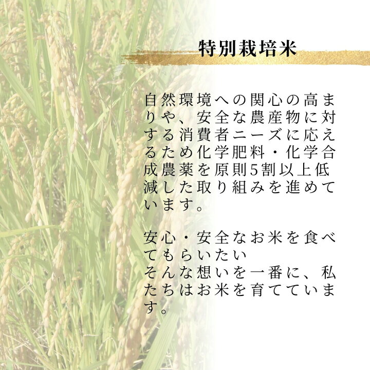 楽天市場】【ふるさと納税】米 コシヒカリ 白米 令和7年産 魚沼産 