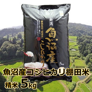 【ふるさと納税】【先行予約】【令和7年産 新米】魚沼産コシヒカリ棚田米 白米5kg 佐藤農場 ※2025年9月下旬以降より順次発送予定 | 新潟県産 コシヒカリ お米 米 おこめ こめ コメ こしひか