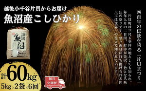 【ふるさと納税】令和7年産 魚沼産コシヒカリ 選べる数量・回数 5kg〜60kg 5kg/10kg/15kg/30kg/60kg 毎月・隔月 定期便 世界一の四尺玉の町片貝町 (有)米萬商店 | 白米 精米 お米 魚沼 新潟県産 新米