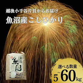 【ふるさと納税】令和7年産 魚沼産コシヒカリ 選べる数量・回数 5kg〜60kg 5kg/10kg/15kg/30kg/45kg/60kg 毎月・隔月 定期便 世界一の四尺玉の町片貝町 (有)米萬商店 | 白米 精米 お米 魚沼 新潟県産 新米【0002-KM00SV00-01】