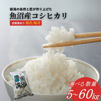 楽天市場】新米 60kgの通販