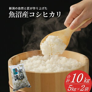 yӂ邳Ɣ[Łzyߘa7NY Vė\z YRVqJ 5kg`60kg Iׂ鐔ʁEIׂ 2025N11{甭Jn h_H |     VY Ђ V