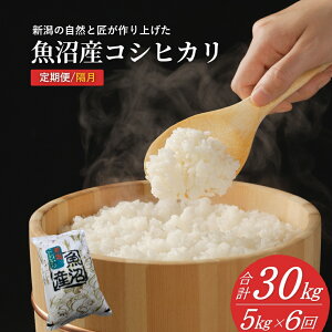 yӂ邳Ɣ[Łzyߘa7NY Vė\z YRVqJ 5kg`60kg Iׂ鐔ʁEIׂ 2025N11{甭Jn h_H |     VY Ђ V