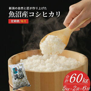 �y�ӂ邳�Ɣ[�Łz�y�ߘa7�N�Y�z �����Y�R�V�q�J�� ����5kg�`60kg �I�ׂ鐔�ʁE�I�ׂ�� ���h�_�H�� | ���� ���� ���� ���� �V�����Y �����Ђ��� �V�āy0002-KY00DB00-01�z