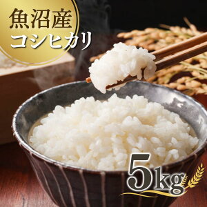yӂ邳Ɣ[Łzys\z ߘa7NYV YRVqJ 5kg(5kg×1) Ꮊ gy y0038-0001-01z