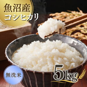 yӂ邳Ɣ[Łzys\z ߘa7NYV YRVqJ  5kg(5kg×1) Ꮊ gy y0038-0002-01z