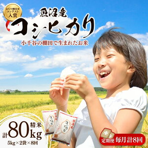 �y�ӂ邳�Ɣ[�Łz�ߘa7�N�Y �����Y�R�V�q�J�� �I�c�� ���� �I�ׂ鐔�� 5kg/10kg/15kg/20kg/30kg/40kg/45kg/60kg/80kg/90kg ������I�c�ăR���e�X�g���܎� �͔|�̋����Y�R�V�q�J�� | ���� ���� ���� ���� �V