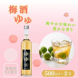 yӂ邳Ɣ[Łz~ 500ml×2{ Y~ ~ ďĒ V y0002-0032-01z