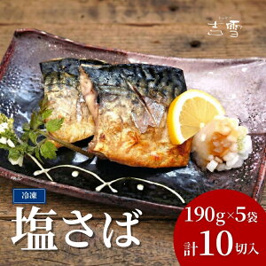 �y�ӂ邳�Ɣ[�Łz������ ���v10�� ���v950g (1�ܖ�190g 2��×5��) ��E�^��p�b�N �Ⓚ �M�t�g�Ή� �g��y0002-0406-01�z