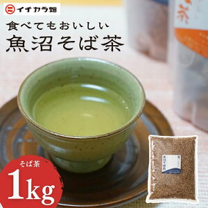 �y�ӂ邳�Ɣ[�Łz�H�ׂĂ����������������Β� 1kg �C�`�J���� �b���� ���� ���Β� ���� ���Y �L�@ �m���J�t�F�C�� ���N �w���V�[ �M�t�g ������ ������ ���΂̎� �e�B�[�o�b�N ���΂��� 