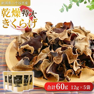 yӂ邳Ɣ[ŁzVJsY yTCYz炰 (12g×5) ؑHi y0002-0289-01z