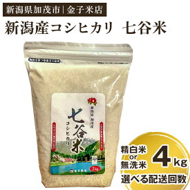 【ふるさと納税】【2024年先行予約】【令和6年産新米】老舗米穀店が厳選 新潟産 従来品種コシヒカリ「七谷米」精白米 or 無洗米4kg（2kg×2）選べる配送回数（通常配送1回～定期便12回）窒素ガス充填パックで鮮度長持ち 金子米店