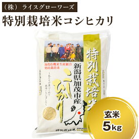 【ふるさと納税】【令和8年産新米先行予約】新潟県加茂市産 特別栽培米コシヒカリ 玄米5kg 選べる配送回数（通常配送1回〜定期便12回）《10月上旬～順次出荷》 従来品種コシヒカリ （株）ライスグローワーズ