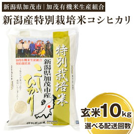 【ふるさと納税】令和5年産 新潟県加茂市産 特別栽培米コシヒカリ 玄米10kg（5kg×2）選べる配送回数（通常配送1回～定期便12回）従来品種コシヒカリ 加茂有機米生産組合