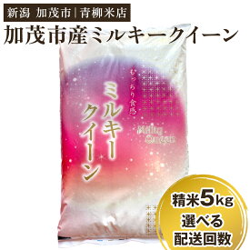 【ふるさと納税】令和5年産 新潟県央地区 ミルキークイーン 精米5kg 選べる配送回数（通常配送1回～定期便12回）白米 青柳米店