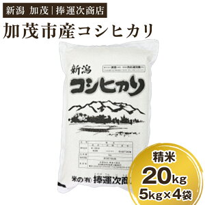 yӂ邳Ɣ[Łzyߘa7NYVāzΎsYRVqJ 20kgi5kg×4܁j soׁt Ђ V   CX  Ύs ^X