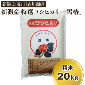 【ふるさと納税】【令和7年産新米】 新潟県産 特選コシヒカリ「雪椿」精米20kg 選べる配送回数(通常配送1回〜定期便12回)《順次発送》 白米 加茂市 お米の専門店 古川商店