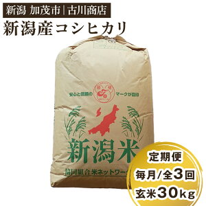 yӂ邳Ɣ[Łzyߘa7NYVāz VΎsYRVqJ 30kgyIׂz񐔁iʏz1`12jzst ꓙ Ă̐X Ð쏤X