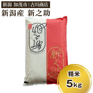 【ふるさと納税】【令和7年産新米】新潟の新ブランド米「新之助」精米5kg 【選べる配送回数(通常配送1回〜定期便12回)】《順次発送》 白米 大粒 加茂市 お米の専門店 古川商店