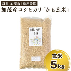 【ふるさと納税】【令和7年産】新潟産コシヒカリ「かも米」玄米5kg（5kg×1袋）《順次出荷》 真空パック 【無農薬・無化学肥料】 従来品種コシヒカリ 加茂市 織原農園