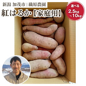 【ふるさと納税】【2026年先行予約】新潟県 加茂市産 紅はるか 【家庭用】選べる「2.5kg」or「5kg」or「10kg」《11月上旬～順次出荷》 人気 さつまいも 訳あり 家庭用 さつまいも 熟成 さつまいも しっとり甘みの強い さつまいも 焼き芋 焼芋 スイートポテト 加茂市 織原農園